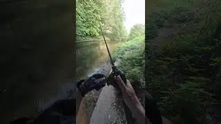 Lure Fishing by the River🎣🐟#fishing #lurefishing