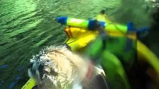 The aftermath of flipping in the Kachess River