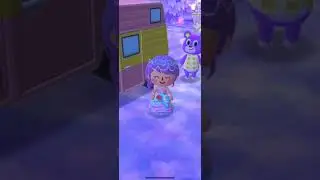 Opening o hares pool cookie | Animal Crossing Pocket Camp
