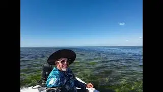 Black Sea Bass with Captain Al