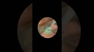 Microorganisms Under Microscope [Complete Video] | Learn Practically