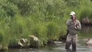 Mousing for Alaskan Rainbow Trout