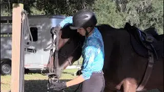Magic trick for bridling difficult horses