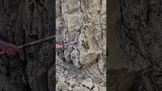 Special Geology Stone Mountain, Iron Rod Pries Stones Effortlessly