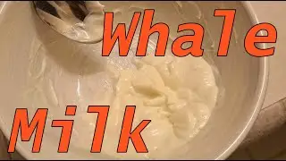 How to Make Your Own Whale Milk