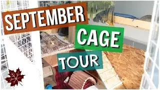 September Rabbit Cage Tour 2016
