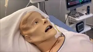 Le PRISMM, laboratoire de simulation de la FMM