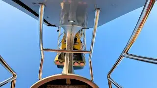 Upside Down with NO RESTRAINTS: 