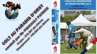Finale Ring 2012 - COLT AU PARADIS D'ORSY - FOUCAULT PATRICE