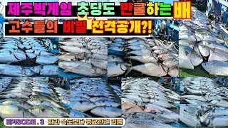 [4K] 제주도 대방어 낚시 액션에 대해 꼭 알아야할 비밀?!