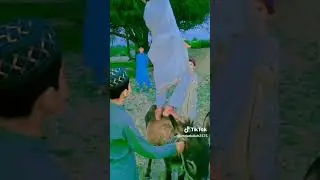 Bannu Mazdigharr | Bannu Dance | Bannu Fanny  Boy Dance #youtubeshorts #shorts #bannu