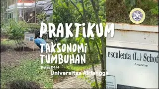 IDENTIFIKASI TANAMAN MAGNOLIOPSIDA DAN PTERYDOPHYTA DI TAMAN HUSADA GRAHA FAMILI SURABAYA🍃🪴