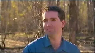 More Than A River