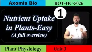 Learn Nutrient uptake in plants (overview)|5th sem| Dr Rajib Borah| Bsc Botany| Assamese| Axomia Bio