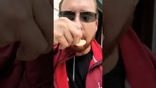 Wait for the crunch 😋 🤪 😜 | the gutter guy #shorts #food #funny #lol #subscribe #just #foryou #fun