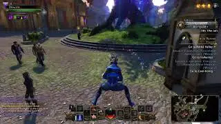 Neverwinter level 20 wizard campaigning