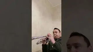 Sirba trompeta. Live