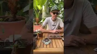 Sunday Wake &rsquo;n Bake 🥳🌱 All about Living Soil 🪴