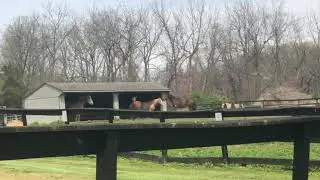#ArtilleryRidge Horse Park - #Gettysburg, PA
