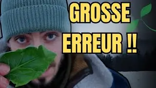 POTAGER : BIEN S'ORGANISER pour la SAISON (Bilan & Conseils)
