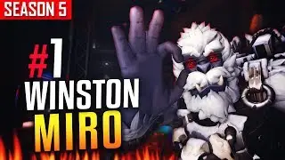 KOREA'S BEST WINSTON - MIRO [SEASON 5]
