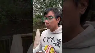 DORITOS ROULETTE EXTREME CHALLENGE! SPICY OR NOT? #spicy #doritos #shorts