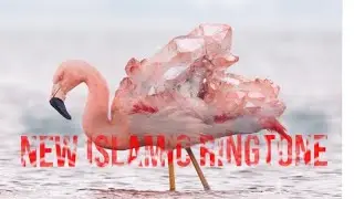 New Islamic Ringtone ||  Ringtone New Emotional | Emotional background Nasheed 2019