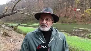 Dilimde tüy bitti 