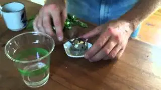 Poison Ivy Home Treatment