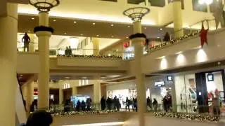 The New Mall at Bay Plaza - First Retail Christmas 2014