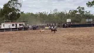 Neirbo Call Girl & Deb O'Brien.  2024 Mt Coolon Open Rd2 (91)