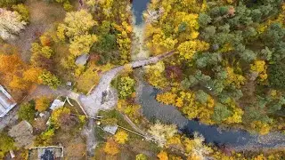 Немного городской осени, 14 октября 2021