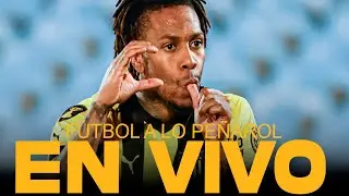 FUTBOL A LO PEÑAROL + MERCADO DE PASES + NOVEDADES