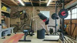 Step-downs (Toe or Heel Contact) — Nick-E.com Exercise Library