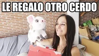 LE REGALO OTRO CERDO A MI NOVIA
