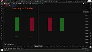 What is Anatomy of Candles