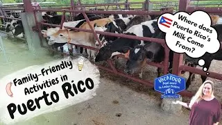 Family Friendly Activities in Puerto Rico | Dairy Farm Tour, German Food, & Traditional Sausages