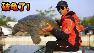 这是我见过龟气最重的黑坑,在坐的各位大师全部都是龟佬，哈哈 #游钓黑坑 #钓鱼 #爆护饵料  #爱生活爱钓鱼