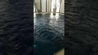 wow amazing 😱😱relaxing sounds of water#indoor swimming pool#asmr#sounds#satisfying #Shorts