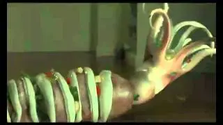 Dentyne - Squid