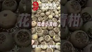 花香小青柑