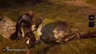 Assassin's Creed Valhalla - Dove trovare la pelliccia di orso nero (GUIDA)