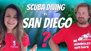 Can you actually go scuba diving in San Diego?!