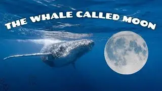 Tea reading 🍵 what's coming ahead! by The Whale Called Moon 🐋