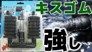 【スポンジフィルター】メーカー不明の海外モデルを手に入れたから、さっそくテトラと比較したぜ！【ふぶきテトラ】
