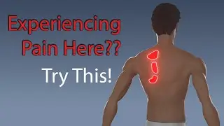 Between Shoulder Blade Pain