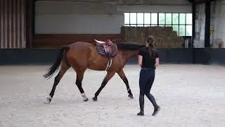 Elmo v/h Middelbos Z Training