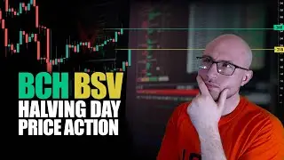 Wednesday's BCH Miner Reward Halving Leads to Interesting Price Action, Including BSV pump!