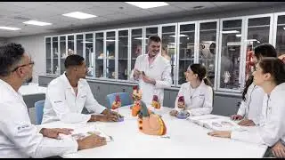 Faculdade S&iacute;rio-Liban&ecirc;s est&aacute; com inscri&ccedil;&otilde;es abertas para curso de medicina - [NTR - Educa&ccedil;&atilde;o]