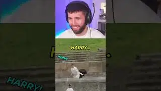 Why W2S Is Banned From Italy... 🤦